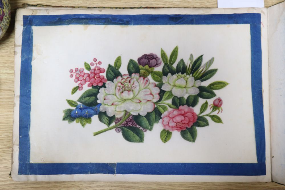 A 19th century Cantonese album of botanical studies on pith paper